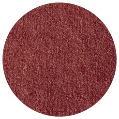 Set 5 foi abrazive Easy fix Wolfcraft 2215100, Gr. 240, D 125 mm