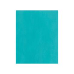 Sticla de protectie frontala pentru masca de sudura MSC-ALLPLUSTIG Tehnoweld SPE_MSC-ALLPLUSTIG