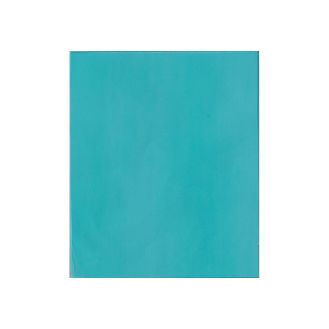 Sticla de protectie frontala pentru masca de sudura MSC-ALL Tehnoweld SPE_MSC-ALL